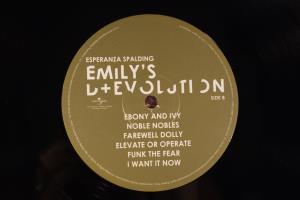 Emily's D Evolution (11)
